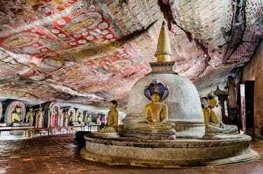 Excursão a pé pela rocha de Sigiriya e pelo templo da caverna de Dambulla